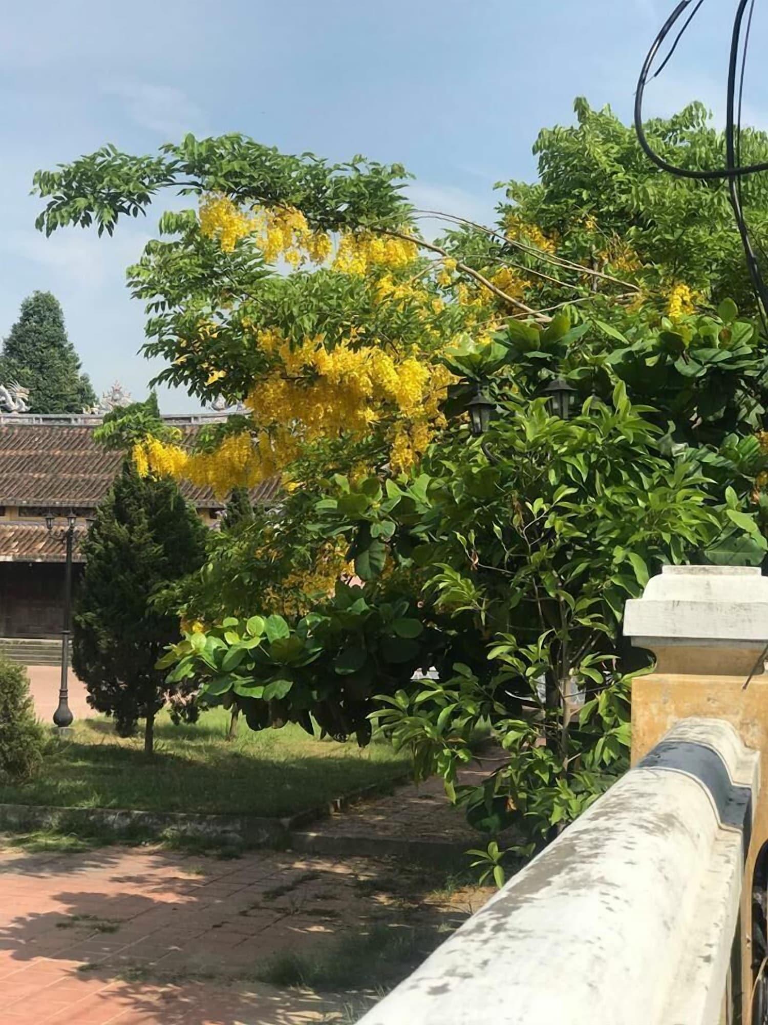 Champa Hoi An Villas Luaran gambar